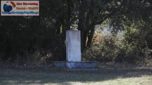 moni-kolokotroni-ekklisoyla (8)
