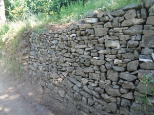 vasta-mandra (1)