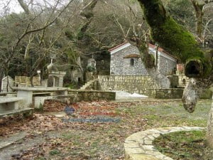 tripotamos-2015 (4)