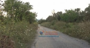 makrysi (1)
