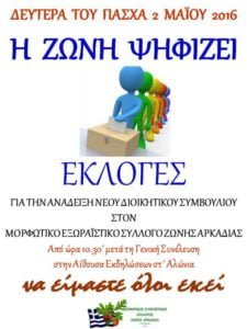 zoni (1)