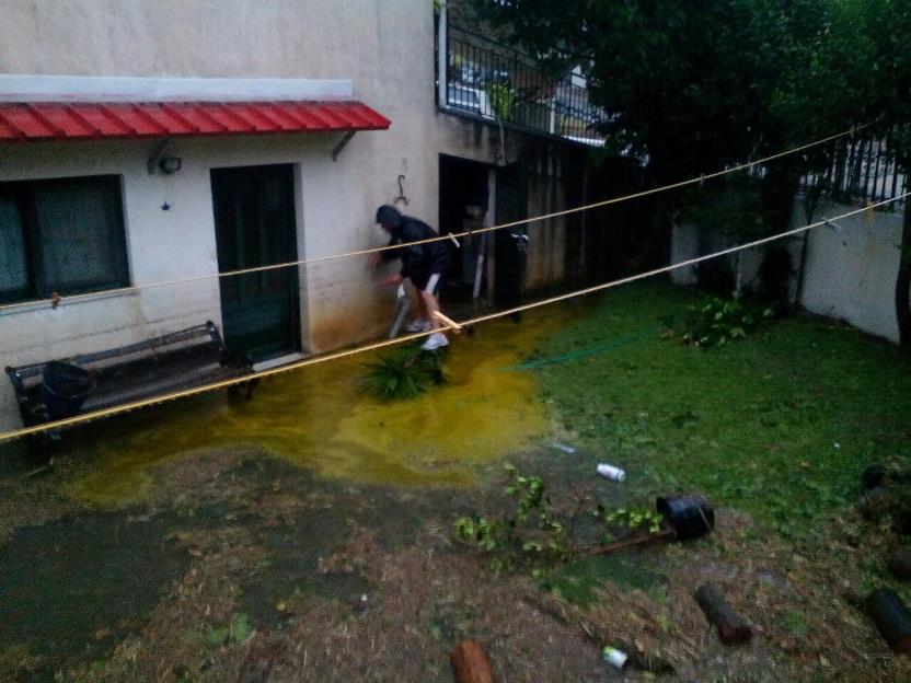 mega-plimmires-spiti (3)