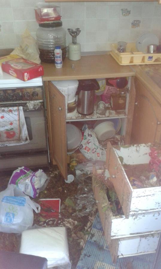 mega-plimmires-spiti (4)