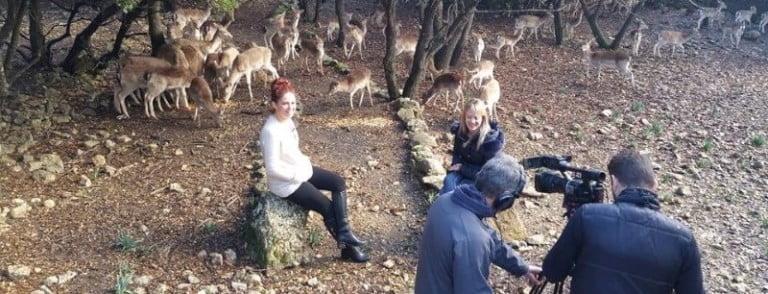 Αφιέρωμα από το κανάλι Ε στο Αγρόκτημα Παπάκια