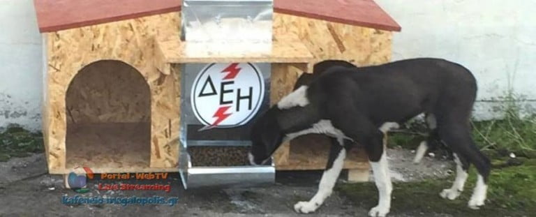 Τοποθετήθηκαν σπιτάκια για τα αδέσποτα ζώα στο Ορυχείο της ΔΕΗ στην Μεγαλόπολη