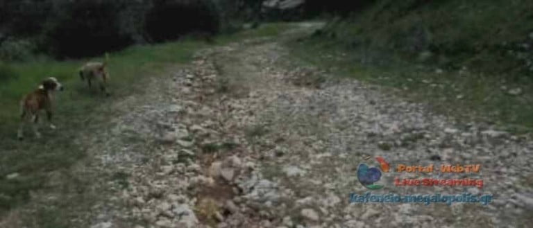 Κουτρής Αθανάσιος: Ο Δήμος Μεγαλόπολης δεν συντηρεί τους αγροτικούς – δημοτικούς δρόμους και λέει ψέματα