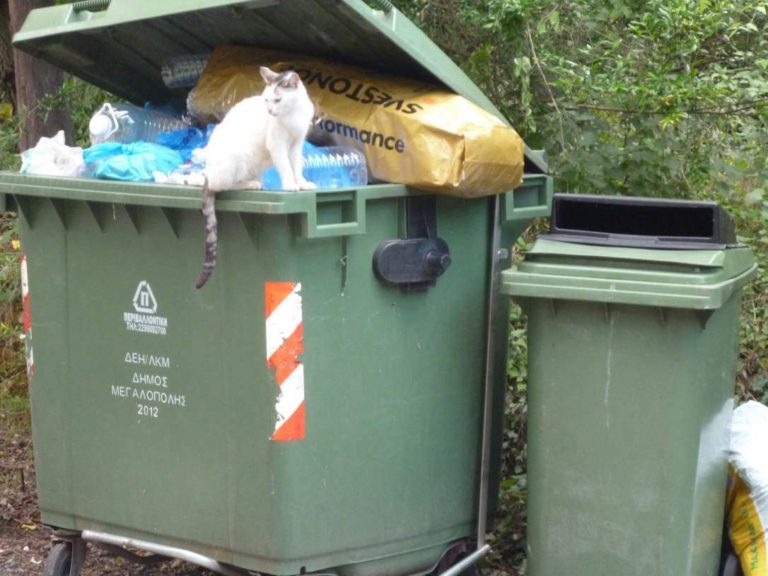 Λυκόσουρα: Την αποκομιδή απορριμμάτων έχουν αναλάβει οι γάτες