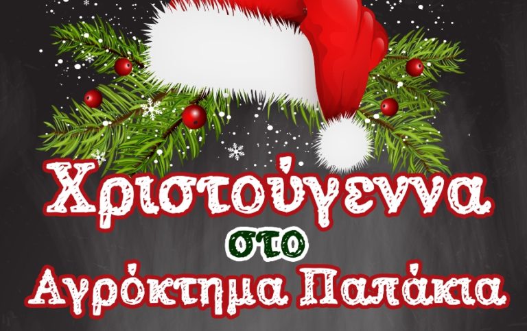 Χριστούγεννα στο “Αγρόκτημα Παπάκια”