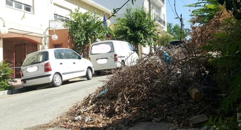 Δήμος Μεγαλόπολης: Ανακοίνωση σχετικά με την αποκομιδή κομμένων κλαδιών και χόρτων
