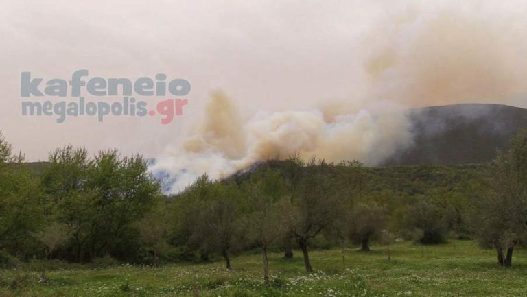 Φωτιά στην Ποταμιά Φαλαισίας (Video-Photo)