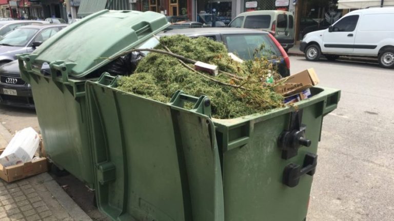 Τα κομμένα χορτάρια στους κάδους απορριμμάτων!