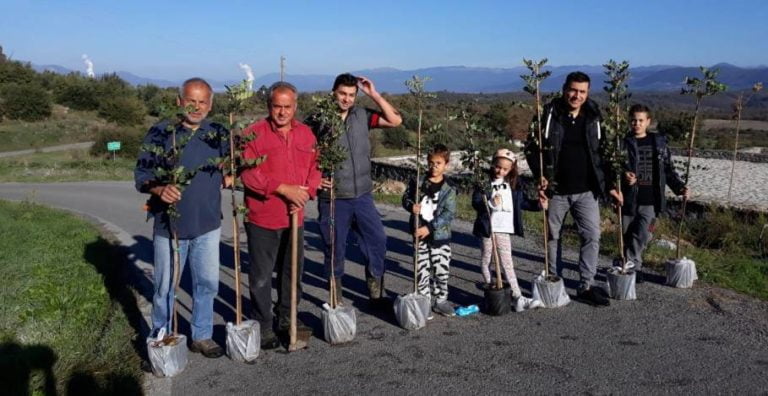 Δενδροφύτευση στο Σουλάρι από τον Σύλλογο “Η Ένωση”