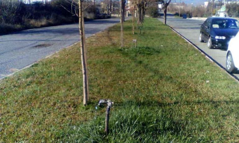 Παρατήρηση αναγνώστη για τα μπεκ ποτίσματος στο Κέντρο Υγείας