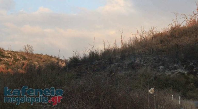 Γρήγορη επέμβαση της Πυροσβεστικής σε φωτιά στο Δερβένι Μεγαλόπολης