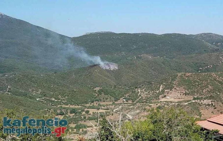 Φωτιά στον Άκοβο Μεγαλόπολης