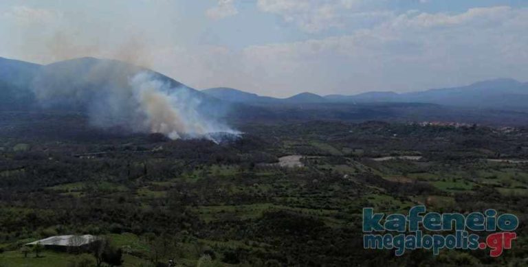 Δυο φωτιές σε Τουρκολέκα και Βελιγοστή-Ελληνίτσα