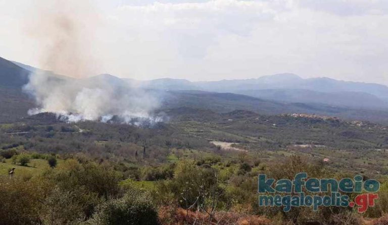 Ενημέρωση από την Πυροσβεστική Μεγαλόπολης για τις φωτιές σε Βελιγοστή και Τουρκολέκα