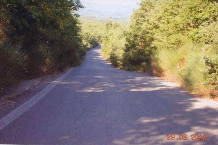 Επικίνδυνοι επαρχιακοί δρόμοι στην Μεγαλόπολη αφού η Περιφέρεια δεν έχει καθαρίσει κλαδιά και χορτάρια