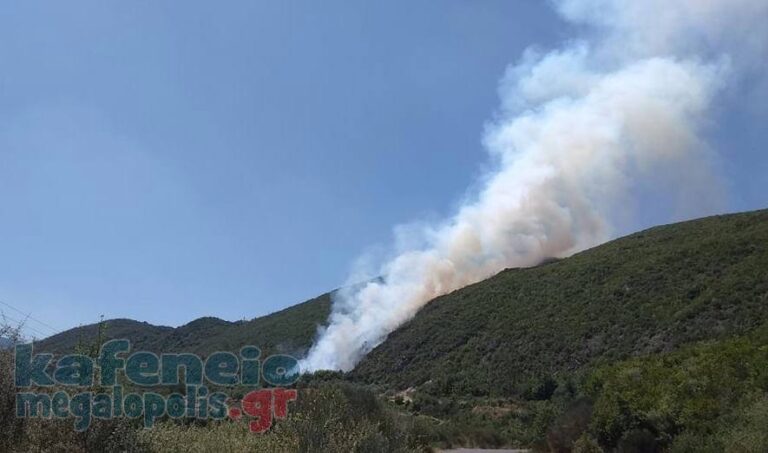 Φωτιά στην Ιερά Μονή Μπούρα Φαλαισίας (video-photo)