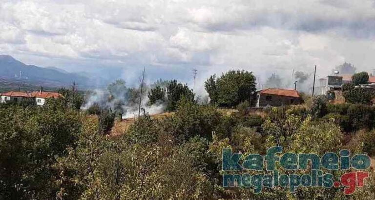 Άμεση επέμβαση της Πυροσβεστικής σε φωτιά στα Καλύβια Λεονταρίου