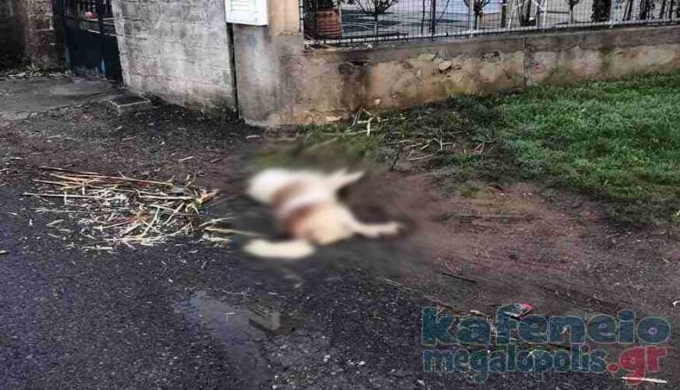 Ασυνείδητοι έριξαν φόλες μέσα στην πόλη της Μεγαλόπολης