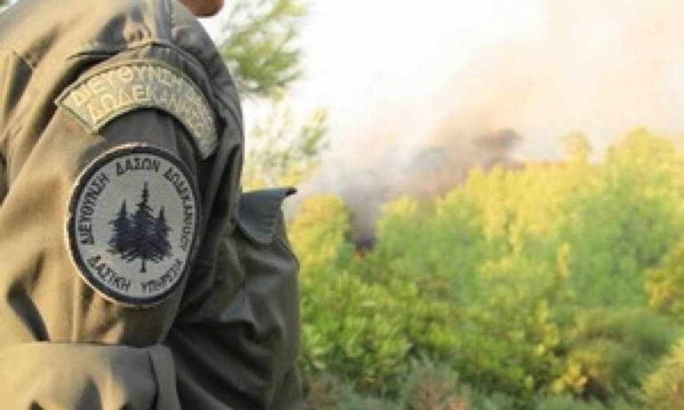 Πρόσληψη 8 δασοφυλάκων στην Μεγαλόπολη με 4μηνη σύμβαση εργασίας