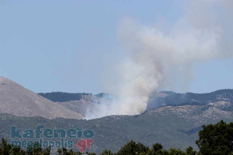 Πυρκαγιά στο Μαίναλο