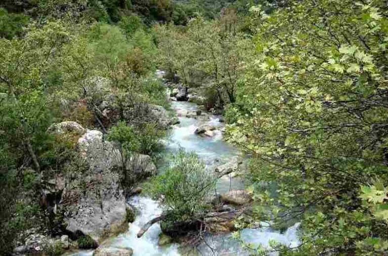Διάσχιση του φαραγγιού του Λούσιου από τον Σύλλογος Αρκάδων Ορειβατών Οικολόγων την Κυριακή 13 Ιουνίου
