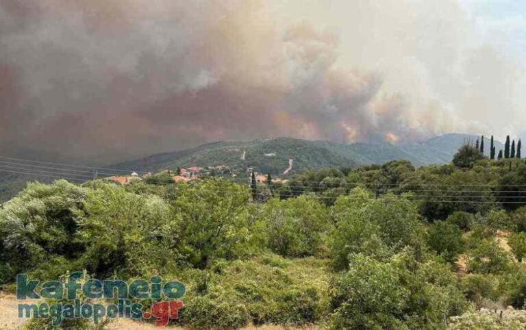 Ανακοίνωση ΕΛΓΑ σχετικά με τις ζημιές που προκλήθηκαν από τις πρόσφατες πυρκαγιές
