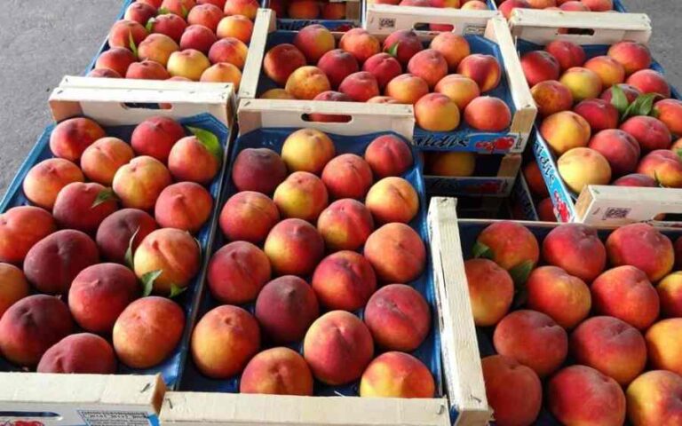 Πραγματοποιήθηκε δωρεάν διανομή φρούτων από την ¨Κοινωνική Προστασία & Αλληλεγγύη¨ Δήμου Μεγαλόπολης