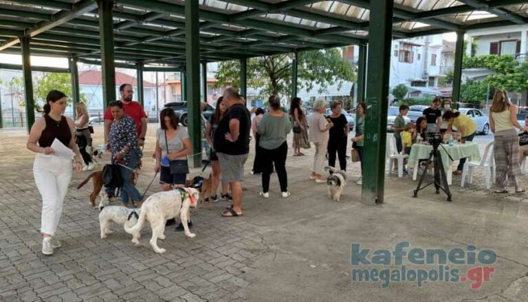 Ημέρα Υιοθεσίας αδέσποτων ζώων στην Μεγαλόπολη (video-photo)
