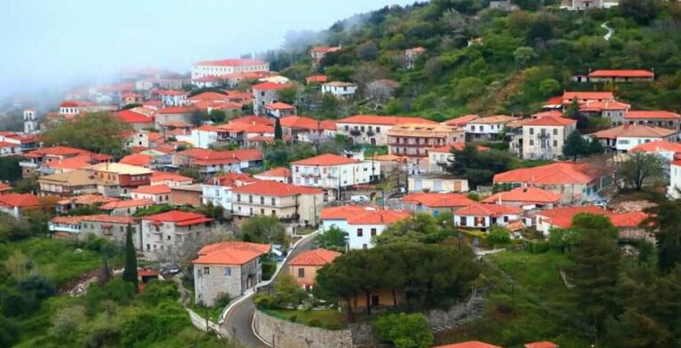 Ο Σύλλογος Νέων Ανδρίτσαινας ‘’Παρράσιοι’’ φτιάχνει ατμόσφαιρα και αυτά τα Χριστούγεννα!