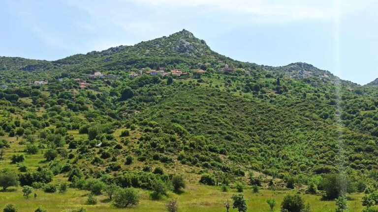 Με επιτυχία διεξήχθη ο καθαρισμός των μονοπατιών προς τον Προφήτη Ηλία στον Άκοβο (video)