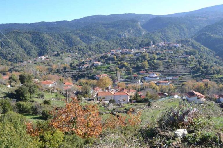 Γιορτή τσοπάνη την Παρασκευή 16 Αυγούστου στο Δυρράχι