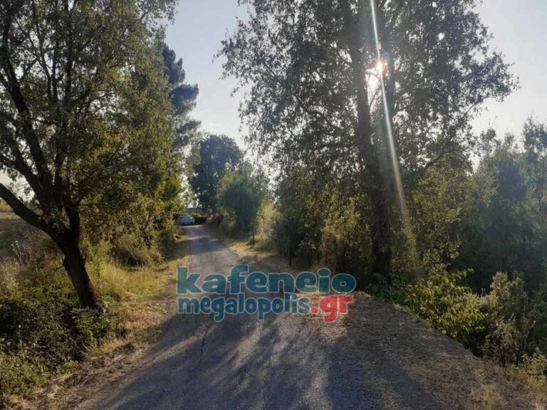 Έκλεψαν φωτιστικά σώματα από τον δρόμο στο χωριό Σούλου (photo)