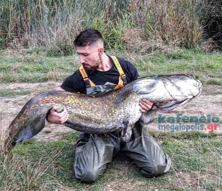 Πιάστηκε ψάρι 70 κιλών σε λίμνη της Μεγαλόπολης