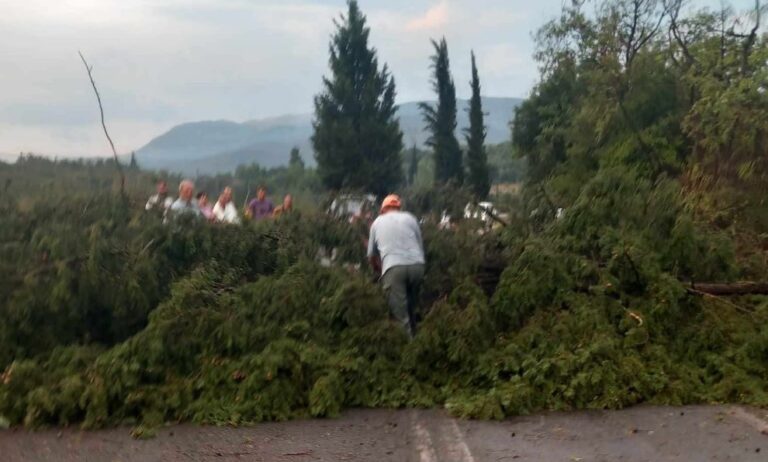 Δήμος Μεγαλόπολης: Άμεση αποκατάσταση ζημιών στον δρόμο Μεγαλόπολη – Καρύταινα