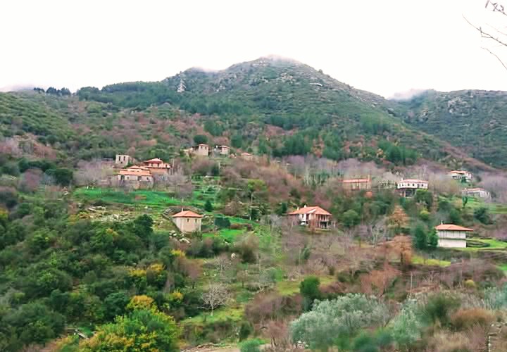 Εκδήλωση από τον Σύλλογο Παλαταίων την Κυριακή 16 Φεβρουαρίου