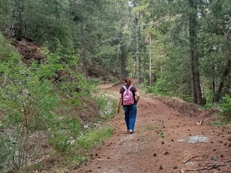 Δράση δασικής αναψυχής, σύναξη  με ιστορικό χαρακτήρα από την ομάδα «Τα Γεράκια» και τον Σύλλογο Απανταχού Λαδαίων στον Ταΰγετο