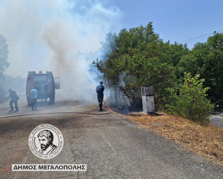 Φωτιά στο Νεοχώρι Λυκόσουρας σβήστηκε αμέσως