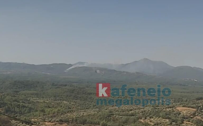 Υπό έλεγχο η φωτιά στην Φαλαισία