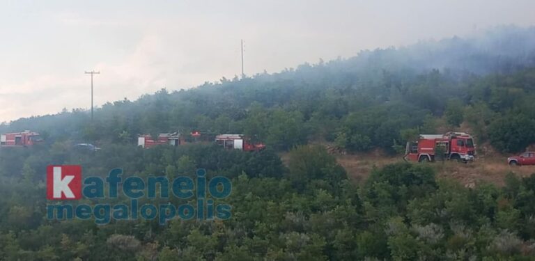 Φωτιά από κεραυνό στο Ανεμοδούρι σβήστηκε αμέσως