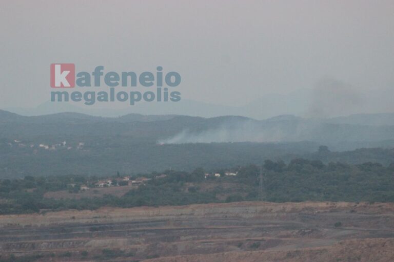 Τέθηκε υπό έλεγχο η Φωτιά ανάμεσα στα χωριά Ρούτσι και Καμαρίτσα