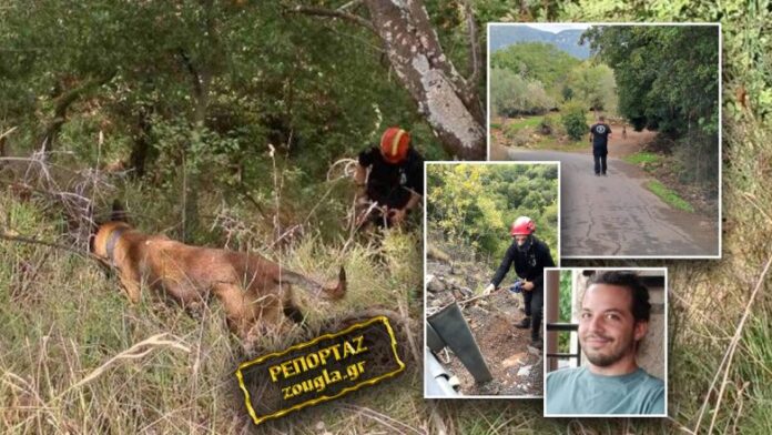 aslan_271025-782x440