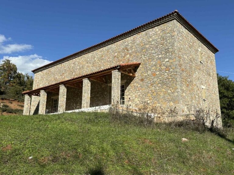 Κάτι κινείται στη Μεγαλόπολη