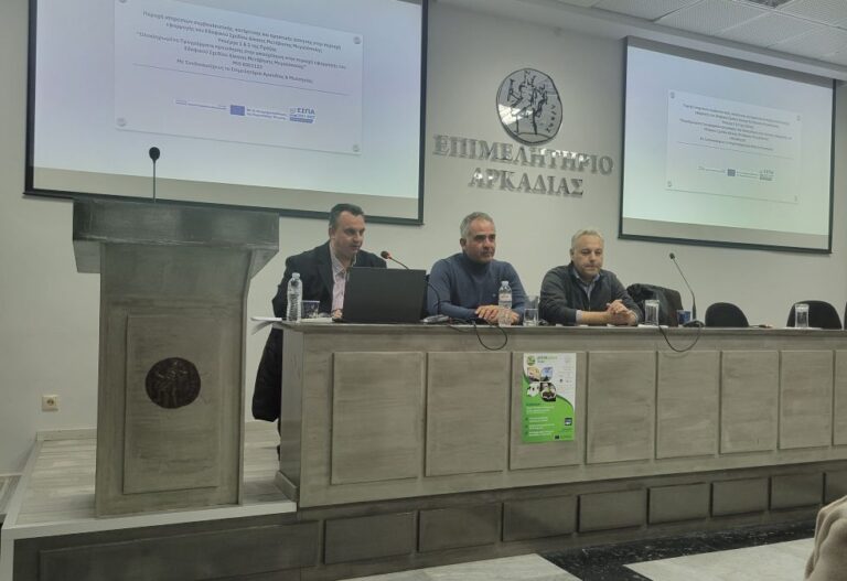 Επιτυχής Ολοκλήρωση «Δράσεις για Σένα» στην Αρκαδία: Άμεση Οικονομική Ένεση 1,1 Εκατ. € και Ενίσχυση της Απασχολησιμότητας στην Αρκαδία