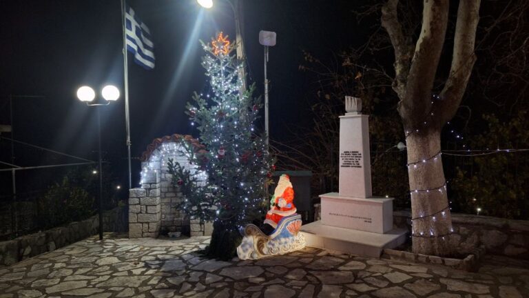 Φωταγώγηση Χριστουγεννιάτικου δέντρου Μαλλωτών (pics,vid)