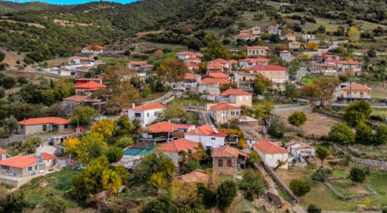 Κοπή Πρωτοχρονιάτικης Πίτας Συλλόγου Μαλλωτών