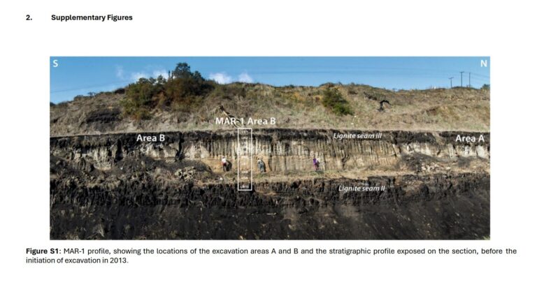 Ενθουσιασμός αλλά και προβληματισμός – Στη Μεγαλόπολη τα αρχαιότερα ξύλινα εργαλεία στον κόσμο