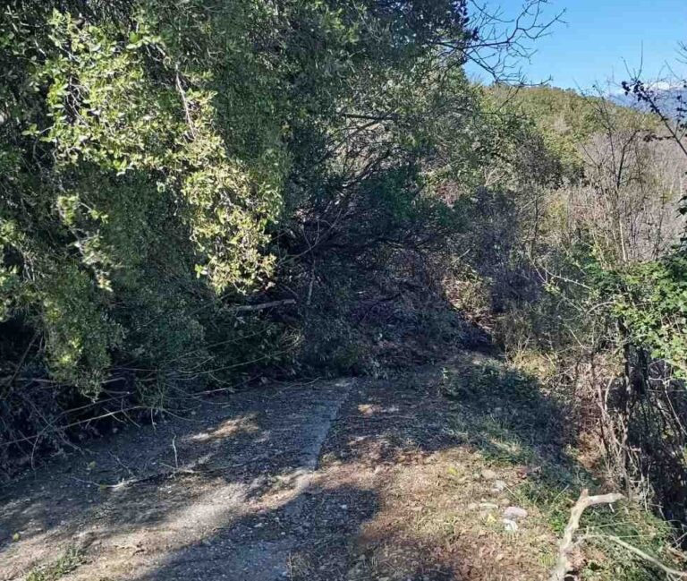 Έκλεισε η πρόσβαση του αγροτικού δρόμου από Λυκόσουρα προς Ίσαρη